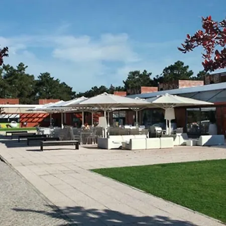 Dolphin Aroeira Beach