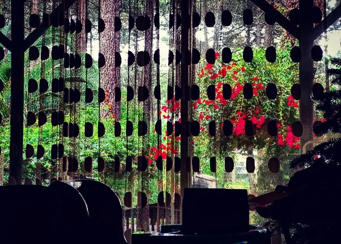 Dolphin Aroeira Beach * Charneca (Setubal)