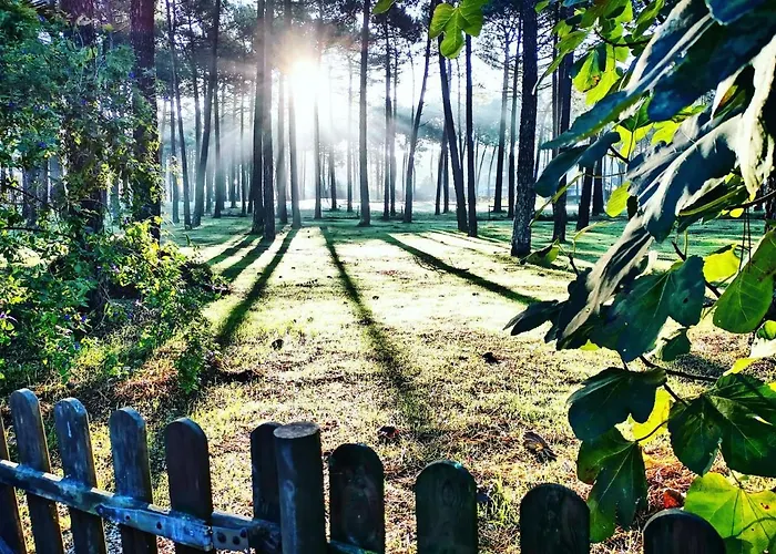Dolphin Aroeira Beach Διαμέρισμα Charneca (Setubal)