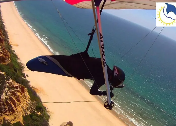 Dolphin Aroeira Beach *