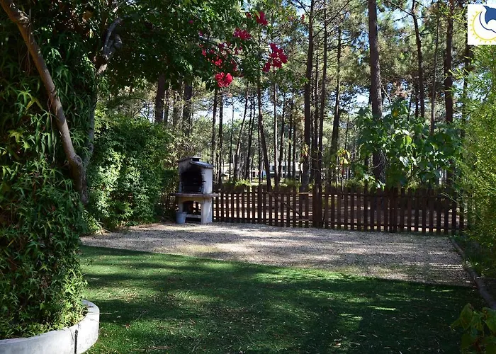 Dolphin Aroeira Beach Charneca (Setubal)