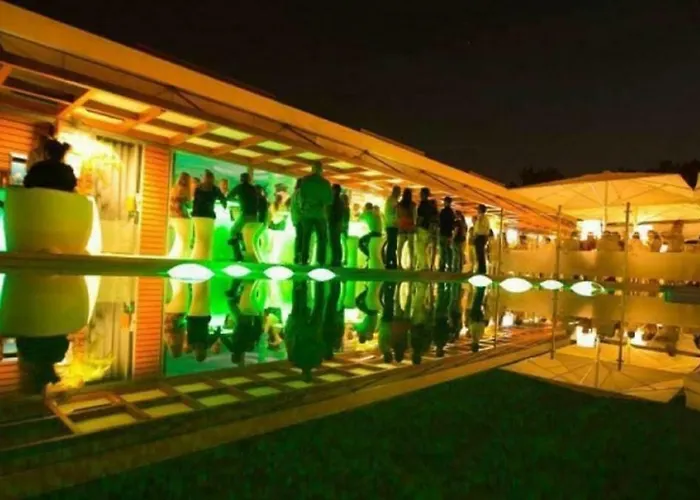 Dolphin Aroeira Beach *