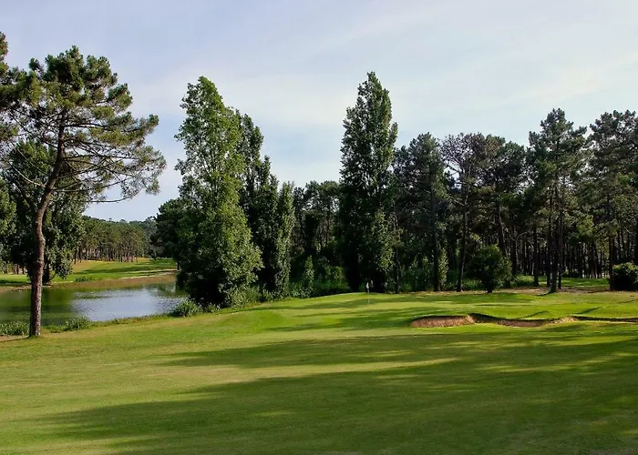 Dolphin Aroeira Beach *