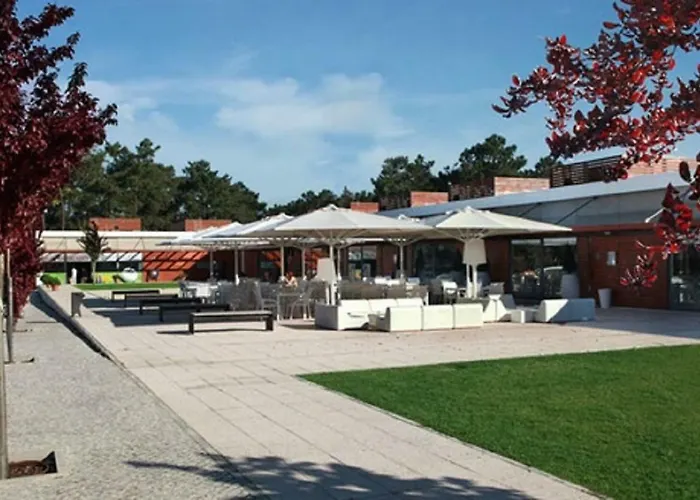 Dolphin Aroeira Beach