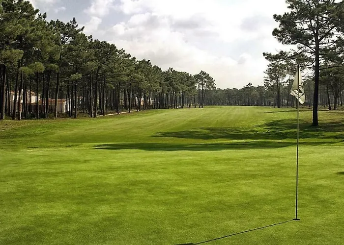 Dolphin Aroeira Beach