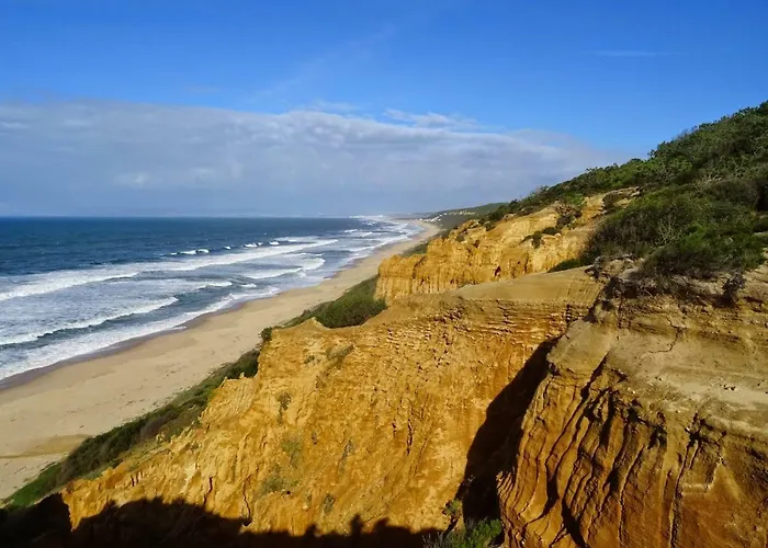 Dolphin Aroeira Beach