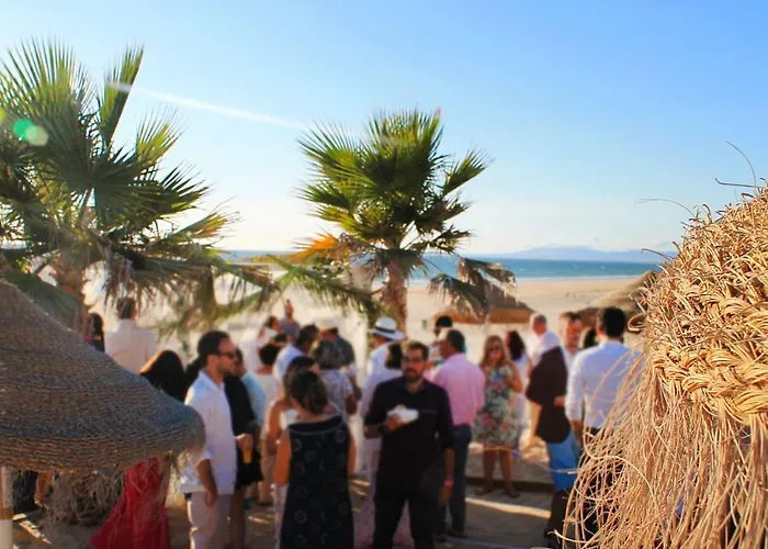 Dolphin Aroeira Beach