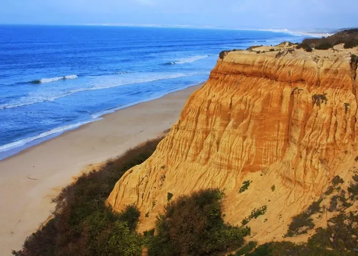 Dolphin Aroeira Beach