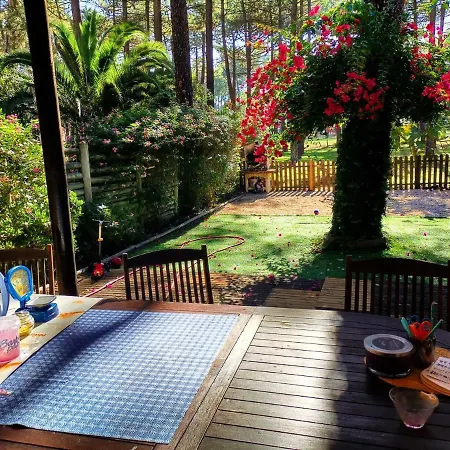 Apartment Dolphin Aroeira Beach