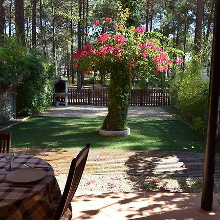 Dolphin Aroeira Beach Apartment Charneca (Setubal)